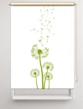 Rollo Dandelions green  , Rollo, Motivrollo, Rollo mit Druck, Fotorollo, bedrucktes Rollo, Fensterrollo,verdunkelndes Rollo, Sonnenschutz Rollo